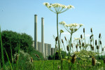 Op de Ijsseldijk
